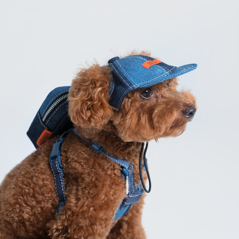 Pets cap【UO2543904SP】