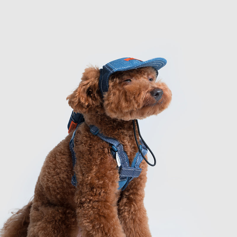 Pets cap【UO2543904SP】