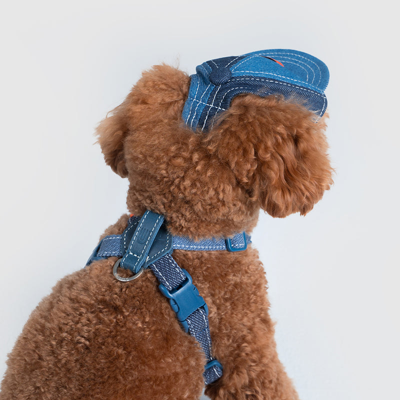 Pets cap【UO2543904SP】