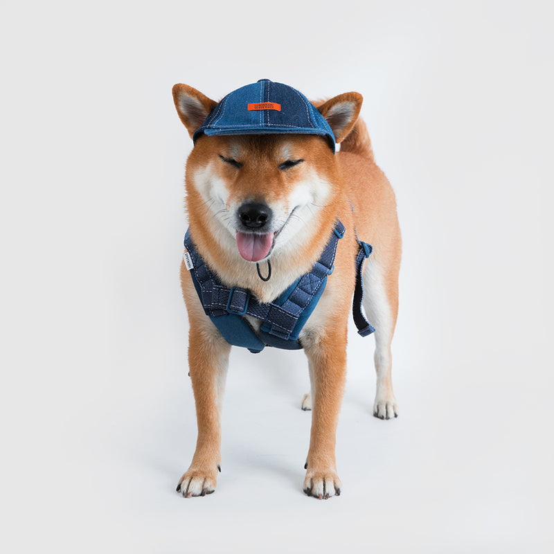 Pets cap【UO2543904SP】