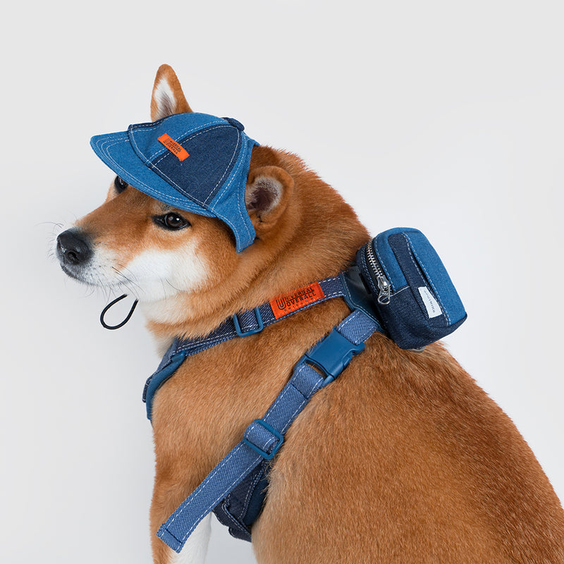 Pets cap【UO2543904SP】