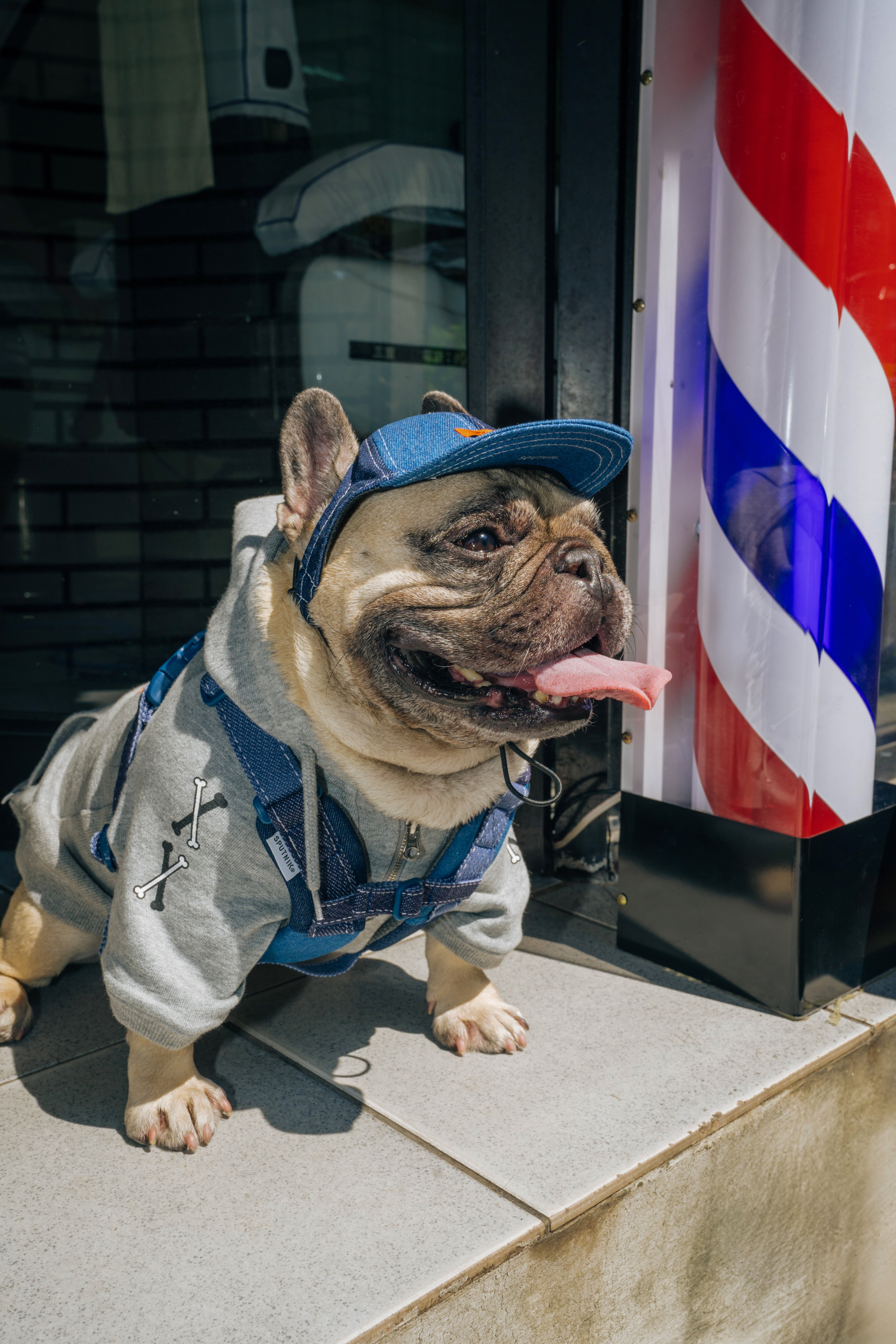 Harness-Mサイズ【UO2543902SP-M】