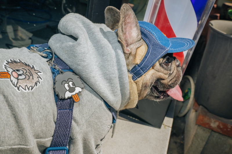 Pets cap【UO2543904SP】