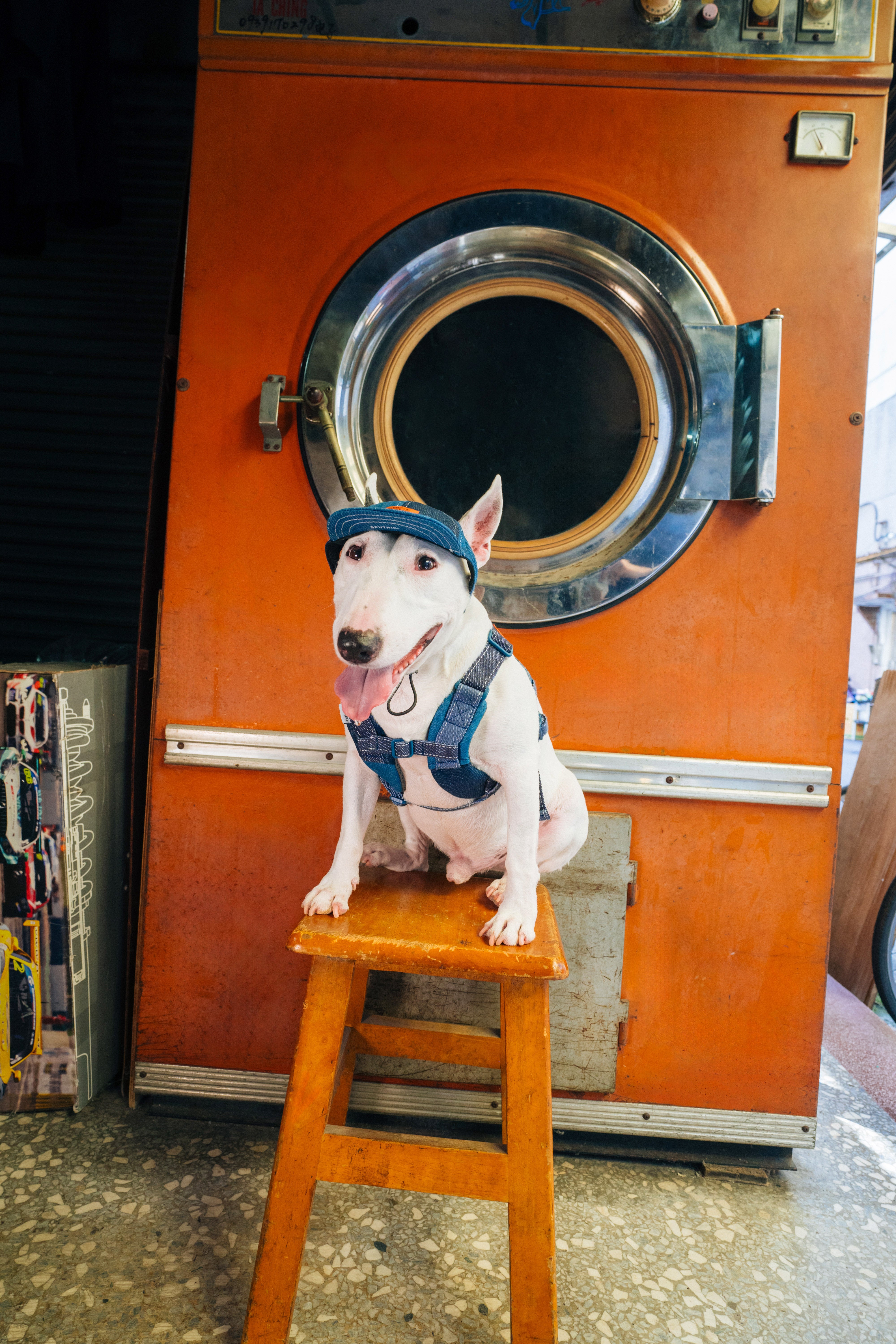 Harness-Lサイズ【UO2543902SP-L】