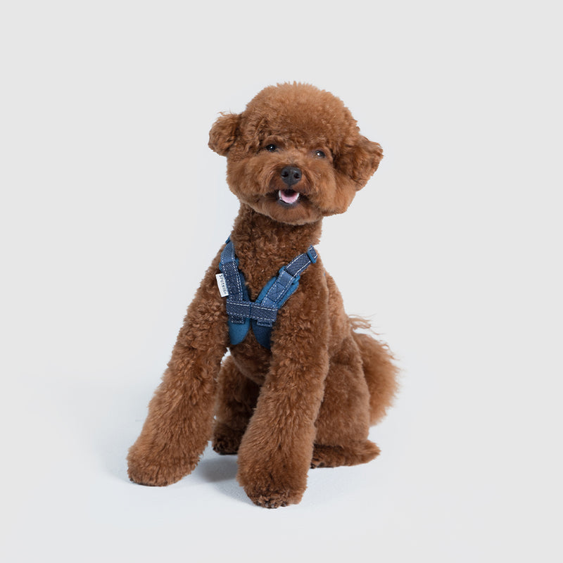 Harness【UO2543902SP-S】