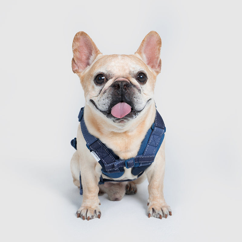 Harness-Mサイズ【UO2543902SP-M】