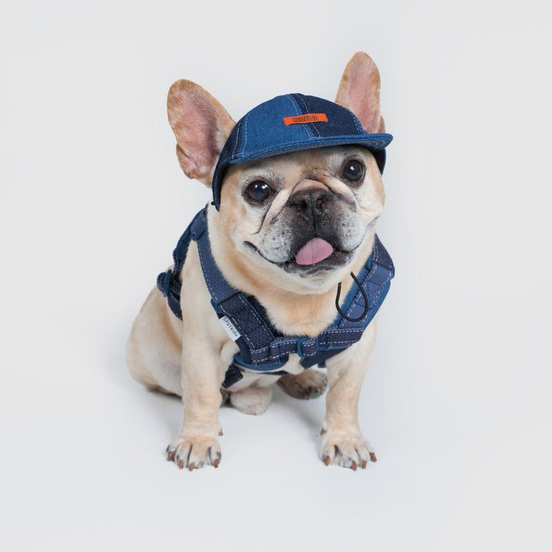 Harness-Mサイズ【UO2543902SP-M】