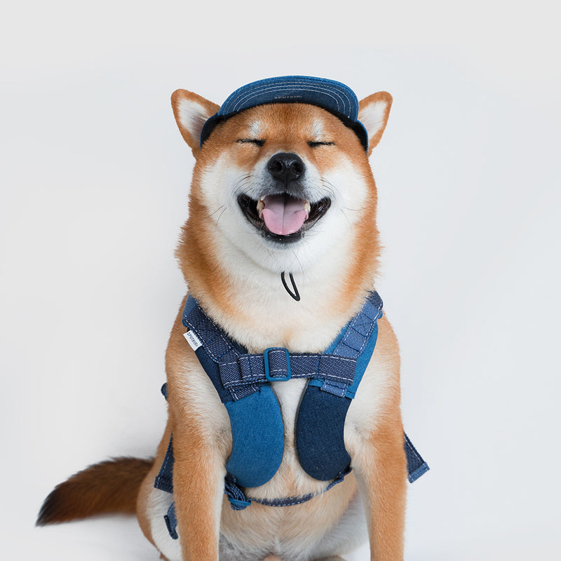 Harness-Lサイズ【UO2543902SP-L】