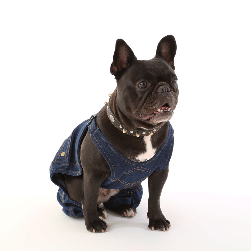 DENIM OVERALL【UO2543800DG】