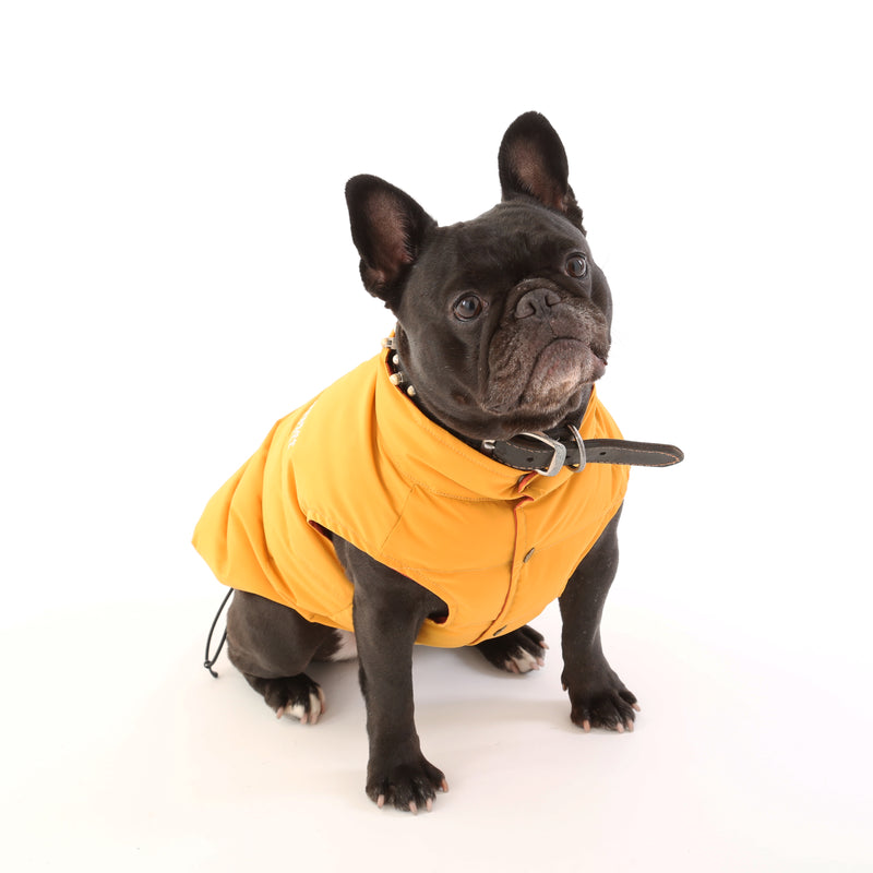 REVESIBLE DOWN VEST【UO2543402DG】