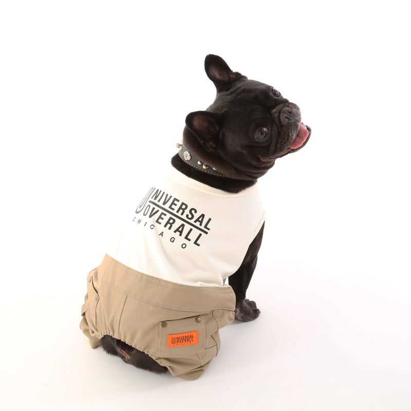 PAINTER PANTS【UO2543600DG】