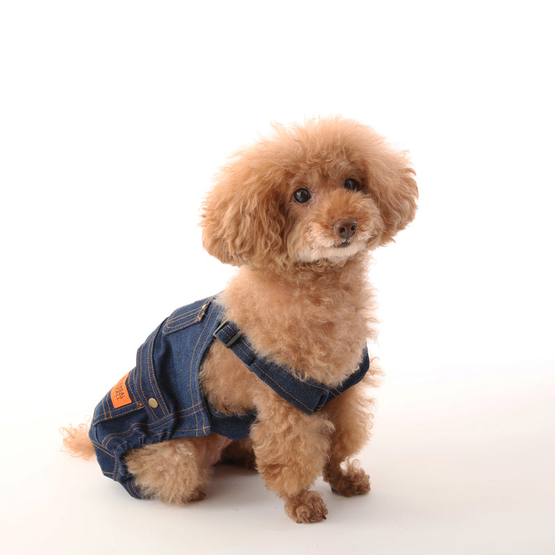 DENIM OVERALL【UO2543800DG】