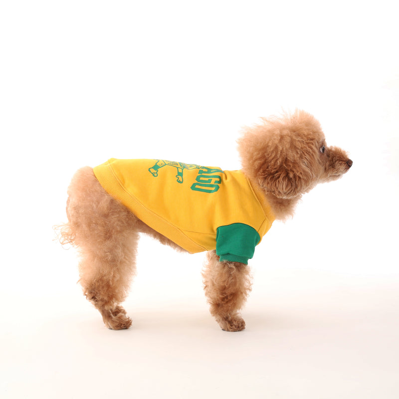 UOD SWEAT【UO2543201DG】