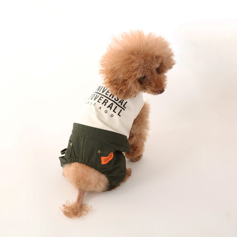 PAINTER PANTS【UO2543600DG】