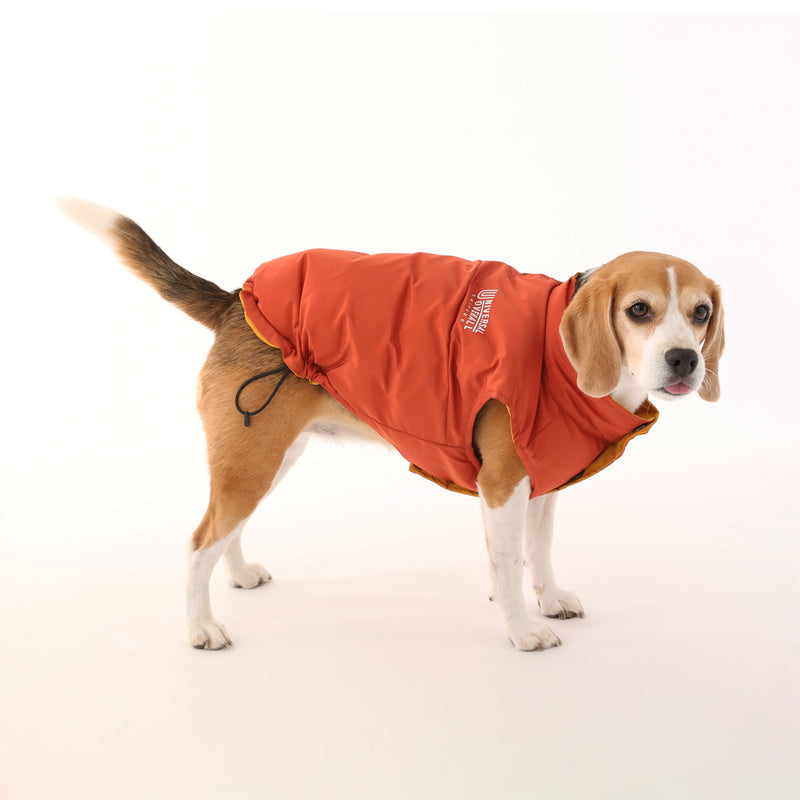 REVESIBLE DOWN VEST【UO2543402DG】