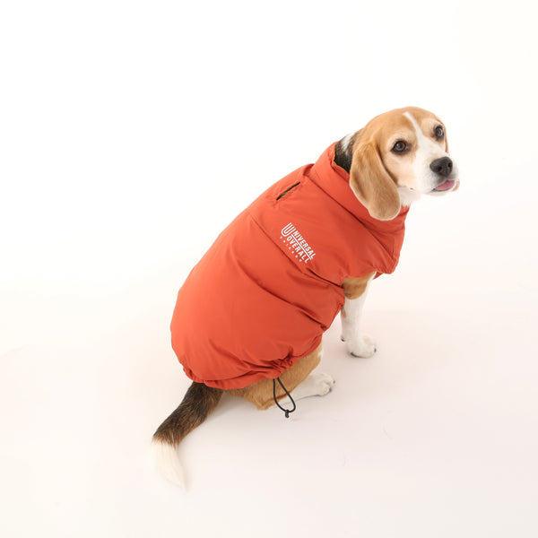 REVESIBLE DOWN VEST【UO2543402DG】