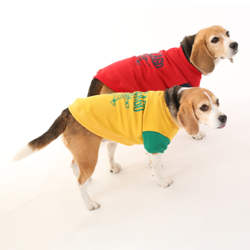 UOD SWEAT【UO2543201DG】