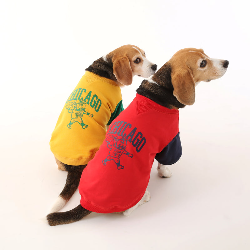 UOD SWEAT【UO2543201DG】