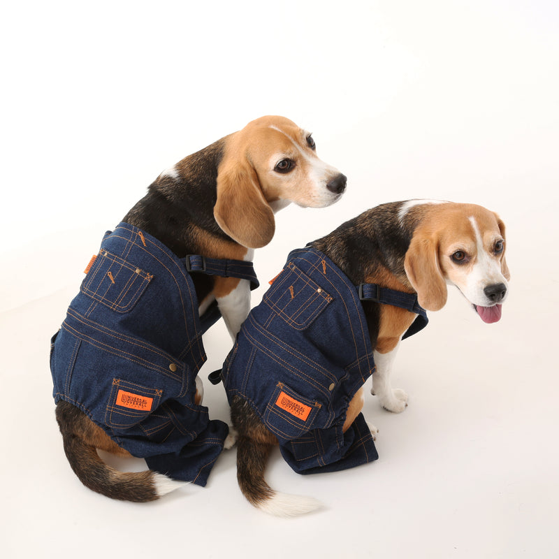 DENIM OVERALL【UO2543800DG】