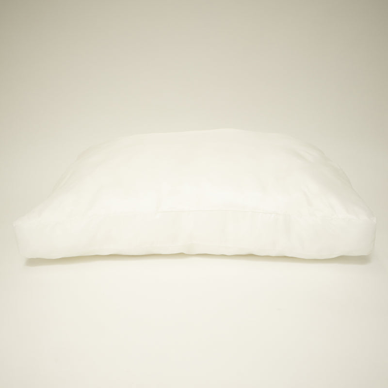 CUSHION【U2413900DG】