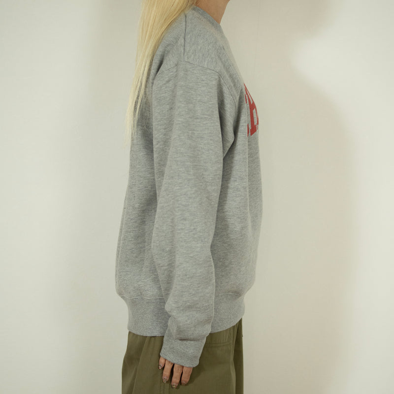 CHICAGO SWEAT【U2533900-C】