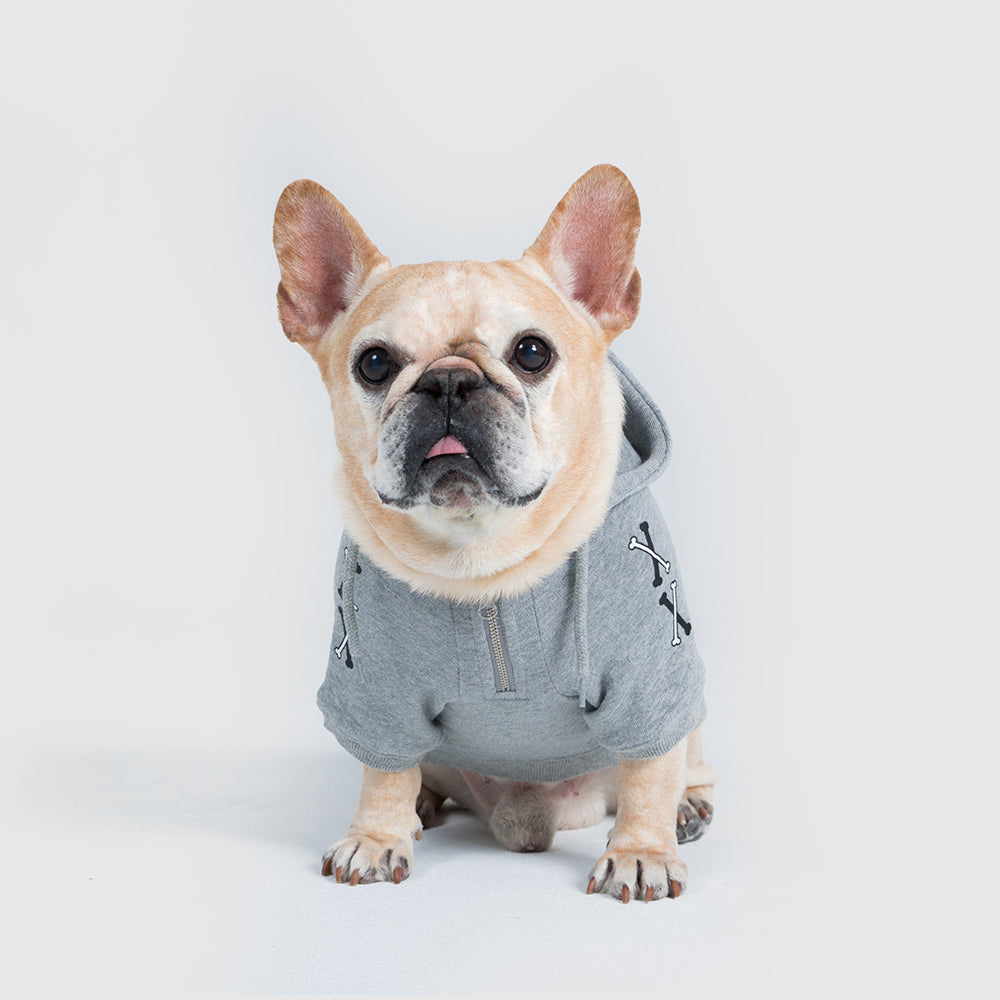 Pets hoodie【UO2543905SP】