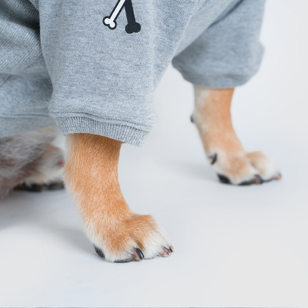 Pets hoodie【UO2543905SP】