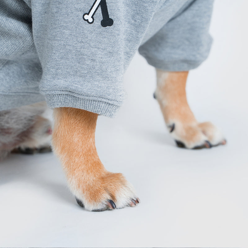 Pets hoodie【UO2543905SP】